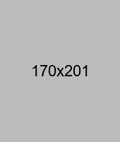 Product Item
